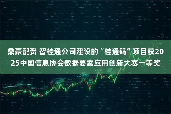 鼎豪配资 智桂通公司建设的“桂通码”项目获2025中国信息协会数据要素应用创新大赛一等奖